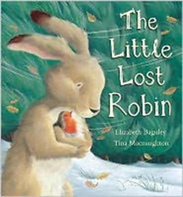 The Little Lost Robin