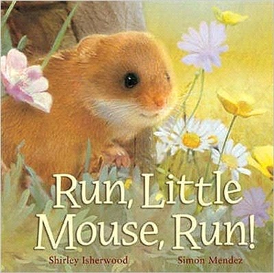 Run Little Mouse Run!