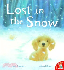 Lost in the Snow | 拾書所