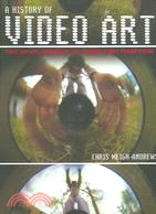 A History of Video Art: The Development of Form And Function