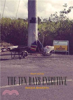 The Ten Days Executive ― Short Stories