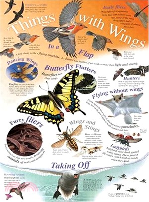Things with Wings (Natural History Wallchart)
