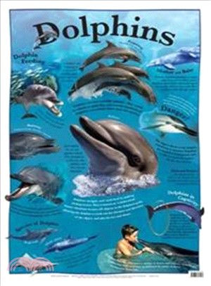 Dolphins (Natural History Wallchart)