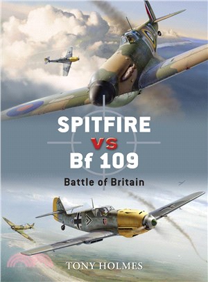 Spitfire Vs Bf 109 ─ Battle of Britain