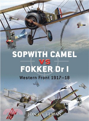 Sopwith Camel Vs Fokker Dr I ─ Western Front 1917-18