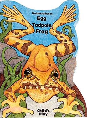 Metamorphoses: Egg, Tadpole, Frog