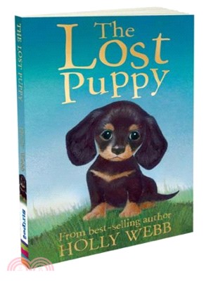 The Lost Puppy | 拾書所