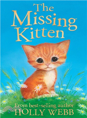 The Missing Kitten