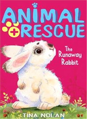 Animal Rescue 5: The Runaway Rabbit