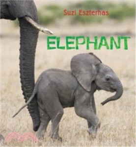 EYE ON THE WILD: ELEPHANT
