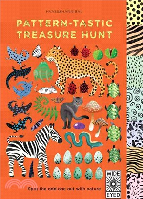 Pattern-tastic Treasure Hunt ― Spot the Odd One Out With Nature