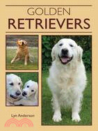 Golden Retrievers