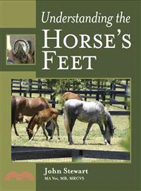 Understanding the Horse's Feet