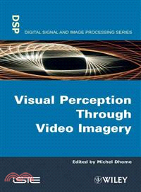 Visual perception through vi...