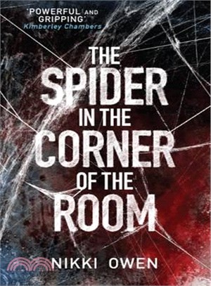 The Spider in the Corner of the Room