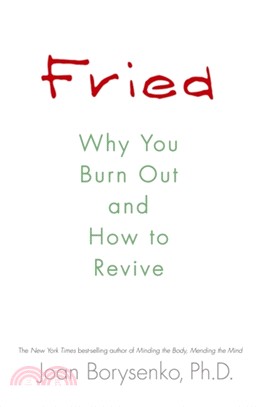 Fried：Why You Burn Out and How to Revive