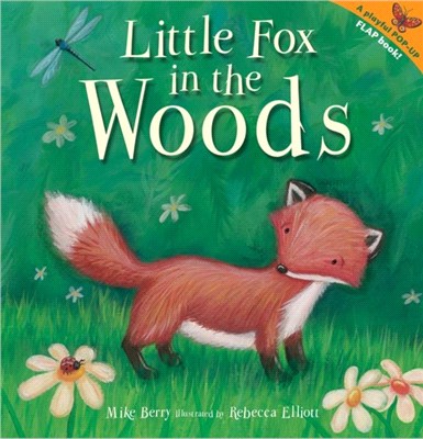 Little Fox in the Woods