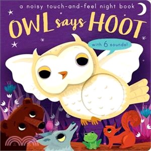 Owl Says Hoot: A Noisy Touch-and-Feel Night Book