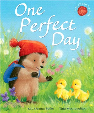 One Perfect Day (Little Hedgehog) | 拾書所