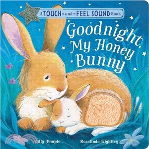 Goodnight My Honey Bunny