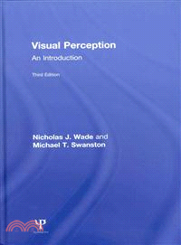 Visual Perception—An Introduction