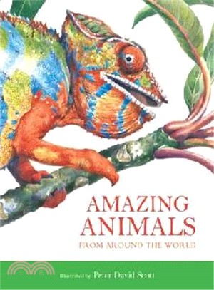 Amazing Animals | 拾書所