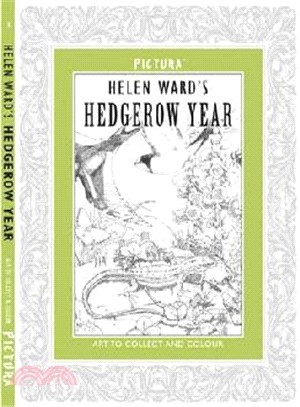 Pictura: Helen Ward's A Hedgerow Year (Art to Collect and Colour)