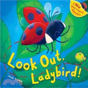 Look out, ladybird! /