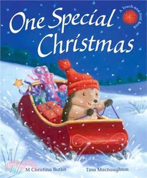 One Special Christmas : A Touch and Feel Book
