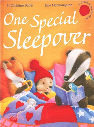 One Special Sleepover