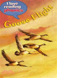 Goose Flight