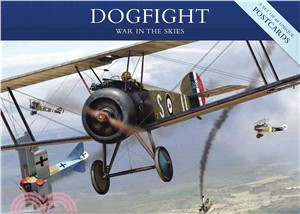 Dogfight: War in the Skies