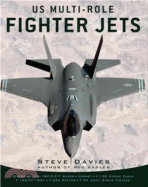 Us Multi-role Fighter Jets