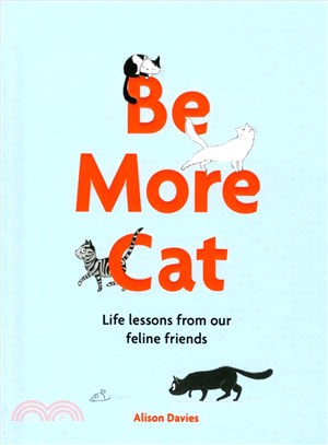 Be more cat :life lessons fr...