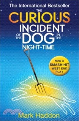 The Curious Incident Of The Dog In The Night-Time (National Theatre)