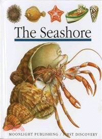 The seashore /
