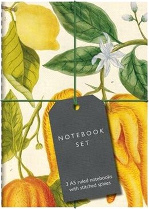 Botanical Art Notebook Set - Lemon, Chillis and Apples: 3 A5 Ruled Notebooks with Stitched Spines