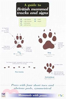 A Guide to British Mammal Tracks and Signs