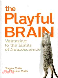 The Playful Brain—Venturing to the Limits of Neuroscience