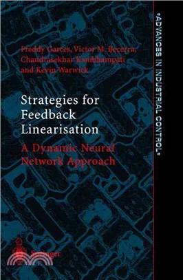 Strategies for Feedback Linearisation—A Dynamic Neural Network Approach