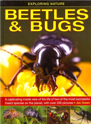Beetles & Bugs ― A Captivating Inside View of the Life of Two of the Most Successful Insect Species on the Planet, with Over 200 Pictures