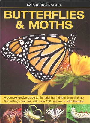 Butterflies & Moths ― A Comprehensive Guide to the Brief but Brilliant Lives of These Fascinating Creatures, With Over 200 Pictures
