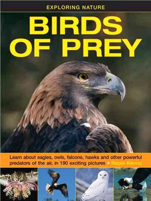 Birds of Prey ─ Learn About Eagles, Owls, Falcons, Hawks and Other Powerful Predators of the Air