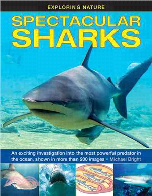 Spectacular Sharks ─ An exciting investigation into the most powerful predator in the ocean, shown in more than 200 images