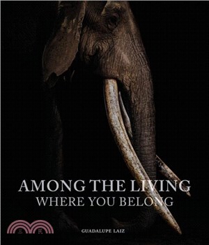 Among the Living：Where You Belong