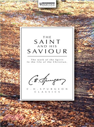 The Saint and His Saviour ─ The Work of the Spirit in the Life of the Christian