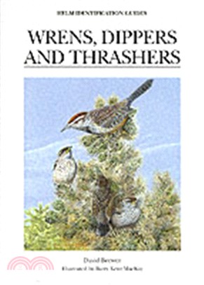 Wrens, Dippers and Thrashers