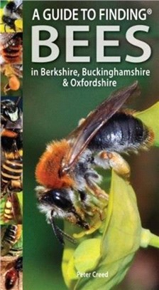 A Guide to Finding Bees in Berkshire, Buckinghamshire and Oxfordshire