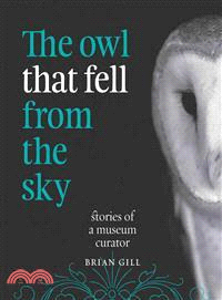 The Owl That Fell from the Sky — Stories of a Museum Curator