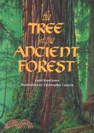 The Tree in the Ancient Forest